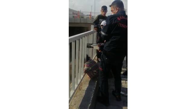 Kafası demir korkuluklara sıkıştı
