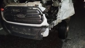 Kamyonetin çarptığı 2 büyükbaş hayvan telef oldu