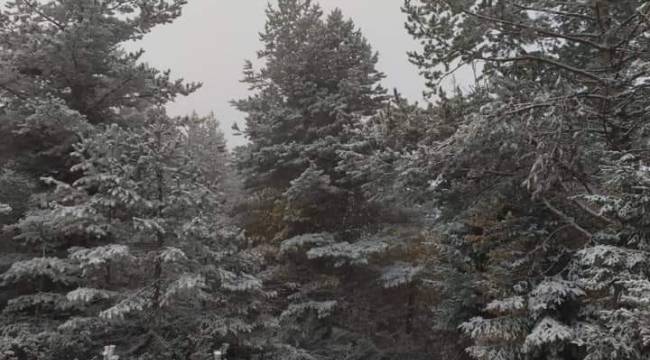 Kastamonu'da sahil bölgesinde kar yağışı etkili oluyor
