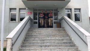 Ordu'da seri cinayet sanığı: "Hayvan için insan mı öldürülür, öldürecek olsam parası olanları öldürürdüm"