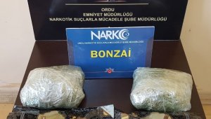 Ordu'da uyuşturucu denetimleri sıklaştı
