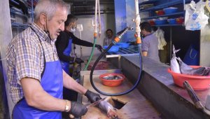 Pandemi dönemi siparişle balık satın alma talebini arttırdı