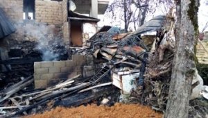 Rize'de 2 ev yanarak kül oldu
