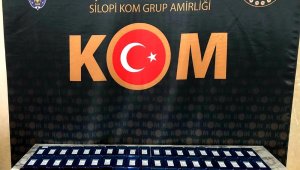 Şırnak'ta kaçakçılara darbe: 41 gözaltı