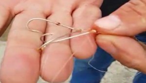 Soluk borusuna olta iğnesi takılan martıyı vatandaşlar kurtardı