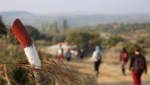 Troya Kültür Rotası yenileniyor