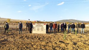 Türkeş'in doğumun gününde 103 fidan toprakla buluştu