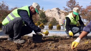 Van Büyükşehir Belediyesi 110 bin lale ve sümbül soğanı dikti