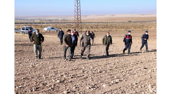 Yozgat'ta ölü bulunup gömüldüğü iddia edilen yakalı toy kuşu ile ilgili araştırma