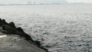 Aralık ayında Karadeniz'e girdiler
