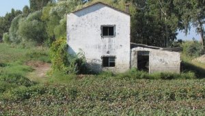 Aşağı Büyük Menderes Havzası yağmura hasret