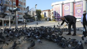 Başkan sokak hayvanlarını eliyle besledi