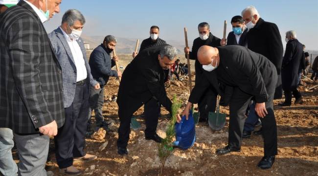 BATÜ'de 10 bin fidanlık Şehit Yasin Börü Ormanı oluşturuldu