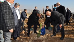 BATÜ'de 10 bin fidanlık Şehit Yasin Börü Ormanı oluşturuldu