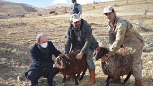 Bayburt'un yüksek rakımlı meraları artık boş değil