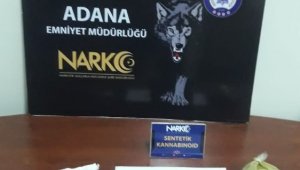 Bonzaiyi kınayla karıştırıp satan anne oğul yakalandı