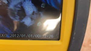Borunun içine sıkışıp üzerine beton dökülen kedi 2 gün sonra kurtarıldı