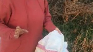 Bunun adı vicdansızlık...12 köpeği canlı canlı çuvala koyup ölüme terk ettiler