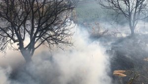 Burhaniye'de arazi yangınını itfaiye söndürdü