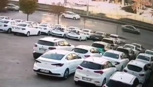 Bursa'da yola atlayan kedi zincirleme kazaya neden oldu