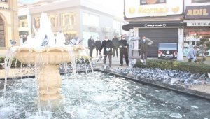 Çorum'da sokak hayvanları unutulmadı
