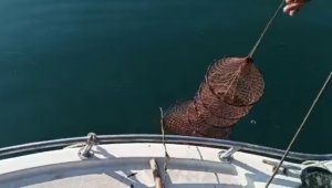Eğirdir Gölü'nde kaçak avcıların 'ağ kozası' oyunu