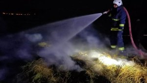 Erciş'te ot yangını