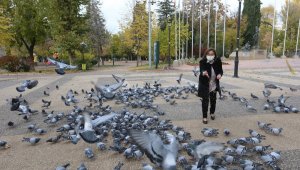 Fatma şahin sokaktaki hayvanları besledi