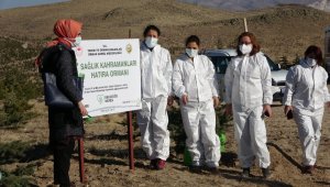 Fedakar sağlık kahramanları için hatıra ormanına fidan dikildi