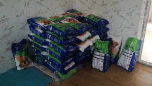 HAYTAp'tan kedi ve köpekler için mama bağışı