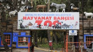 Hayvanat Bahçesi ziyarete kapatıldı, sosyal tesisler faaliyetlerine ara verdi