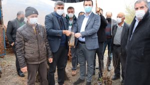 Hazro'da çiftçilere 28 bin adet fıstık, ceviz ve badem fidanı dağıtıldı