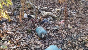 İçişleri Bakanlığı: "Bingöl'de terör örgütüne ait depo ve sığınaklarda 135 kilogram toz esrar ele geçirildi"