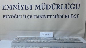 İstanbul'da 700 bin sahte dolar ele geçirildi