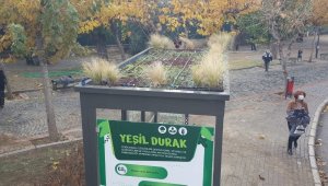 İzmir'deki 'doğa dostu' durak görenleri şaşırtıyor