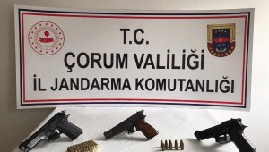 Jandarma'dan silah operasyonu
