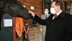Karadeniz'in en büyük binicilik tesisi yenilenecek