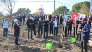 Karpuzlu Gölcük'te lavanta fidanları dualarla toprakla buluşturuldu