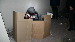 Karton koli içerisinde yatarken yakalandı