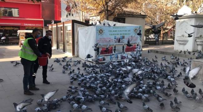 Kırıkkale'de sokak hayvanlarına şefkat eli
