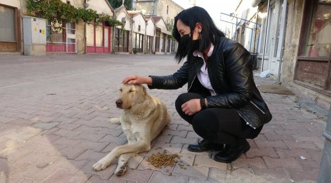 Kısıtlamada sokak hayvanları unutulmadı
