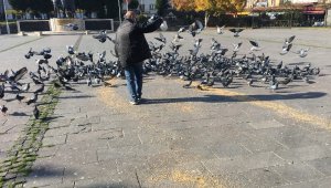 Kısıtlamada sokak hayvanları unutulmadı