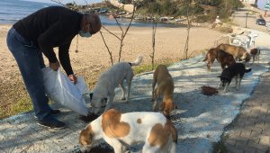 Kısıtlamada yiyecek bulamayan hayvanlar için seferber olundu
