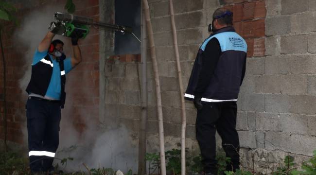 Kocaeli'de sivrisineklerle kışlık mücadele başladı