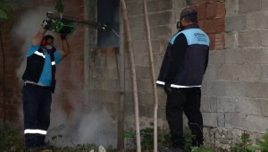 Kocaeli'de sivrisineklerle kışlık mücadele başladı