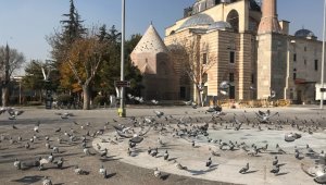 Konya'da sokak ve caddeler sokak hayvanlarına ve kuşlara kaldı