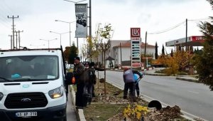 Maden Şehitleri Caddesi ağaçlandırılıyor