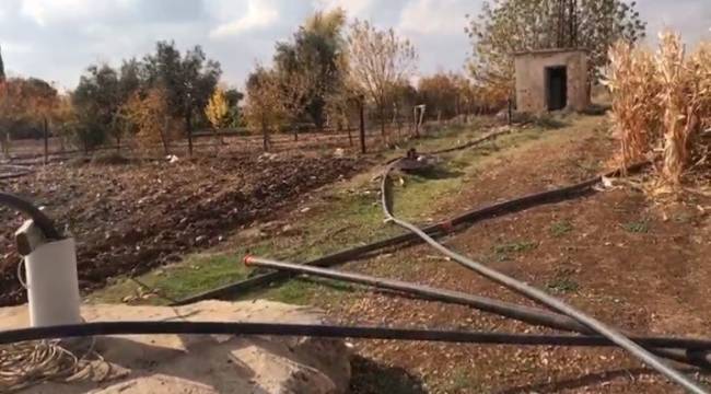 Mardin'de çiftçinin kaçak elektrik kullanımı pes dedirtti