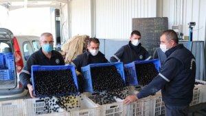Marmarabirlik'ten üreticiye ödeme