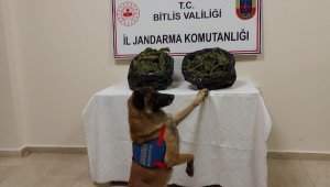 Mutki ve Güroymak'ta uyuşturucu operasyonu